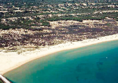 Platja dels Tossals (Guardamar del Segura)