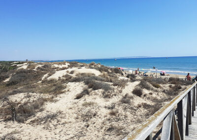 Playa de dunas en Guardamar del Segura - Playa nudista