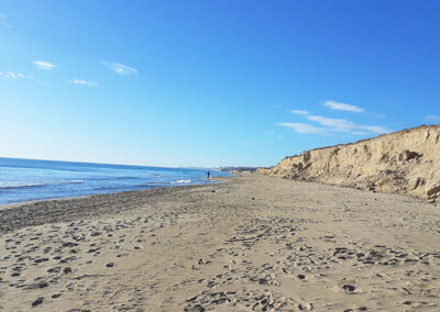 Playas para pescar en Guardamar (Alicante)