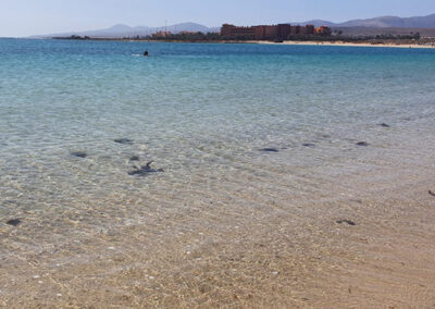 Playas tranquilas de arena fina y aguas cristalinas en Fuerteventura - Caleta de Fuste